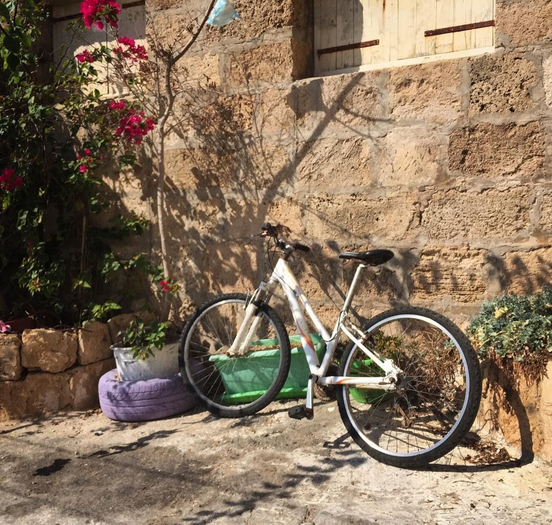A smell of  holidays still floating in the  streets  bicycle  ig_lebanon ...