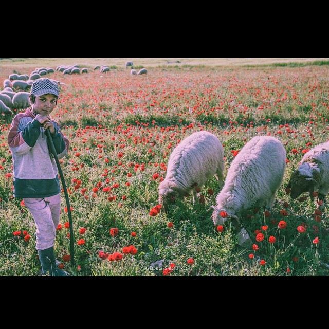 A smile of innocence, shares nations struggles! Location : Enfeh al koura... (Enfeh)