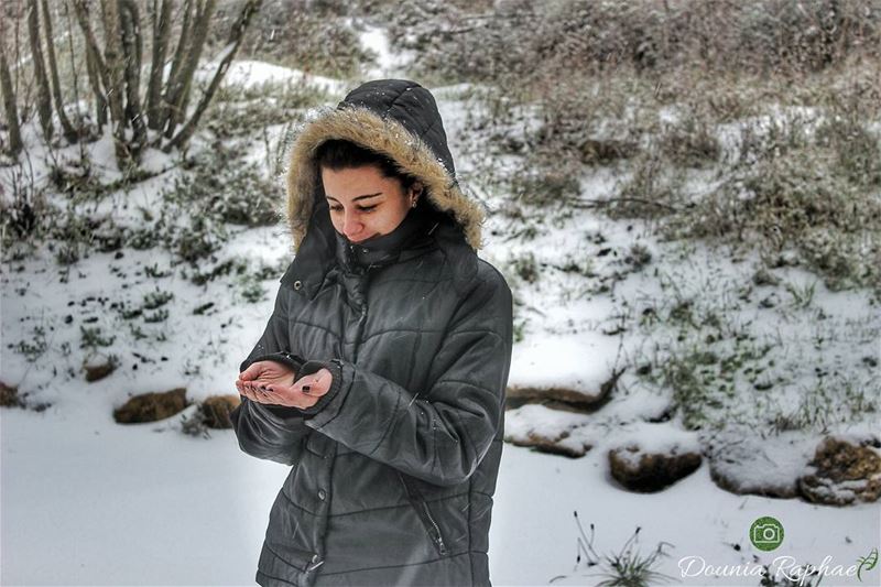 A snowflake is of one God's most fragile creations, but look what they can... (El Ghîné, Mont-Liban, Lebanon)