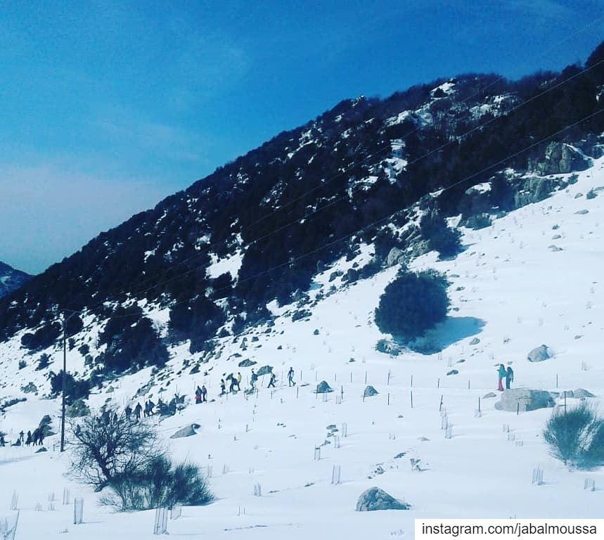 A  Snowshoeing experience, like no other...  JabalMoussa unescomab ... (Jabal Moussa Biosphere Reserve)