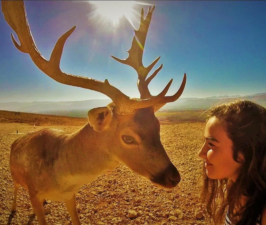 A soul is the only privilege that we share 🦌  Deer  Lebanon  Gopro ... (Aâna, Béqaa, Lebanon)