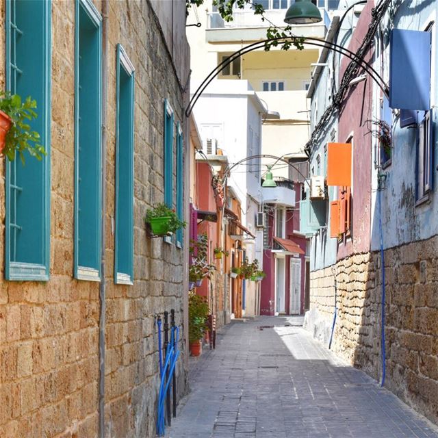 A splash of colors 🌈🎨💐••••••••••••••••••••••••••••• color  splash ... (Tyre, Lebanon)