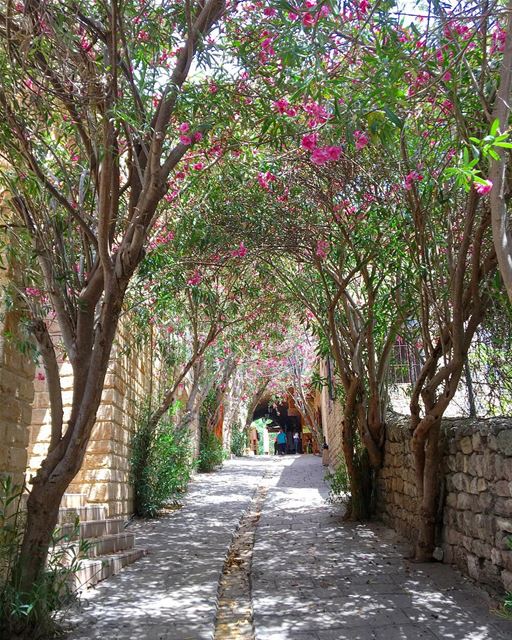 A Spring Day in Byblos • 🇱🇧.....  beautifullebanon  livelovebeirut... (Byblos, Lebanon)