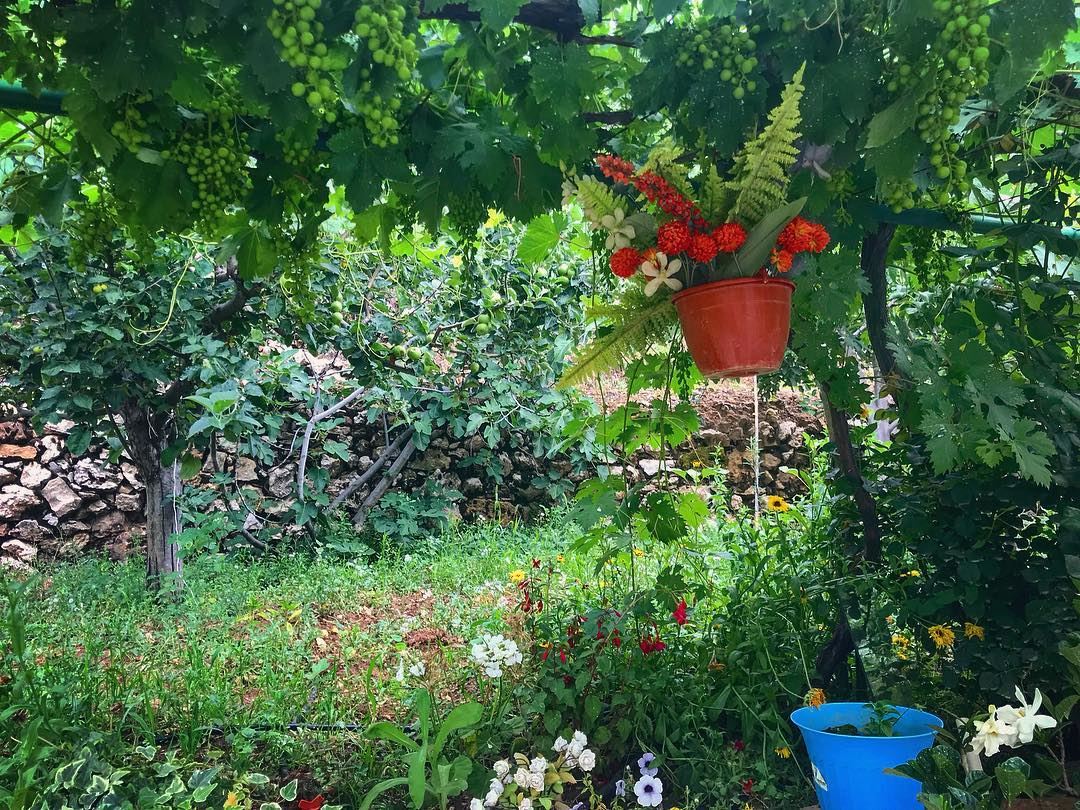 A step into paradise 🦄.... garden  travelgirl  discover  explore ... (Faraya, Mont-Liban, Lebanon)