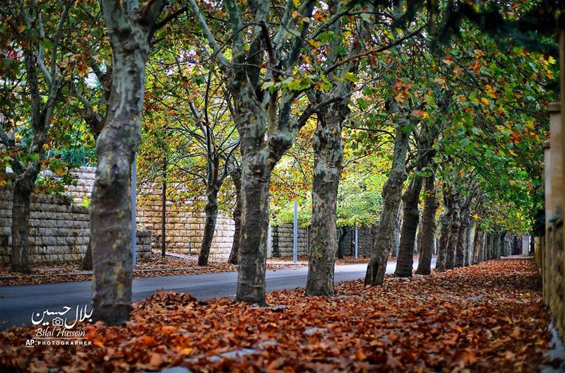 A street covered with fallen leaves in Sawfar village, Mount Lebanon,...