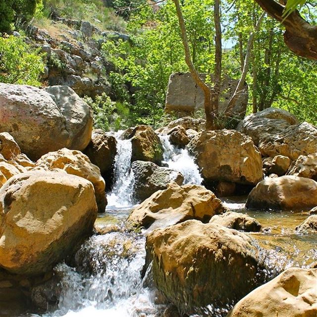 A strong man and a waterfall always channel their own path. lebanon ... (Baskinta, Lebanon)