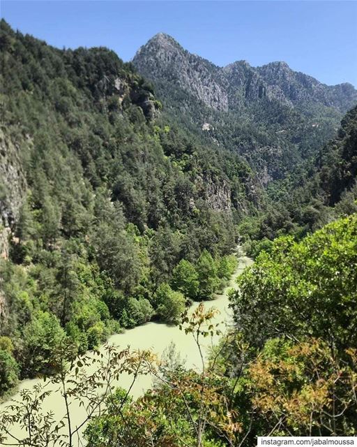 A Sunday like no other in  Chouwan. JabalMoussa  unesco  unescomab ... (Jabal Moussa Biosphere Reserve)