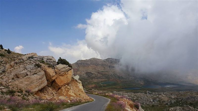 A sweet rocky mountain paradise...... rockymountains  summer ... (Jroud Akoura)