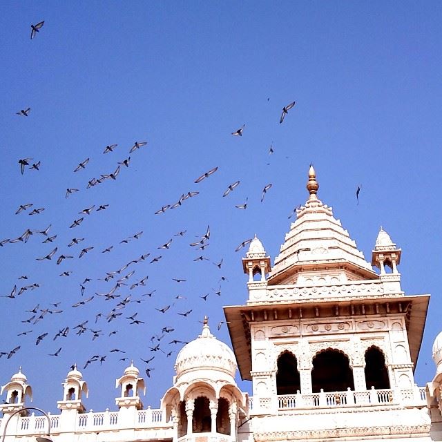 A temple in  Jodhpur  ig_leb  ig_india  ig_lebanon  igcaptures ...