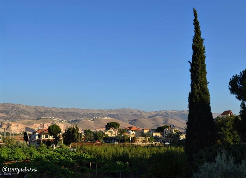 A tiny part of the continuous chain of Mount Lebanon, shown from Rayak... (Rayak, Béqaa, Lebanon)