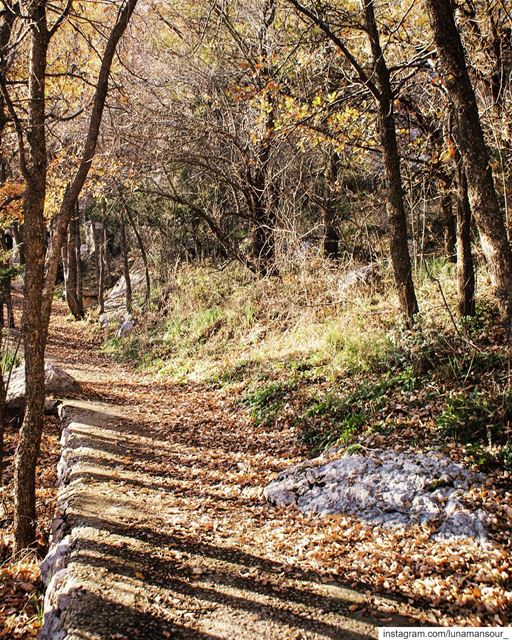 a trail amidst the... (Baskinta, Lebanon)