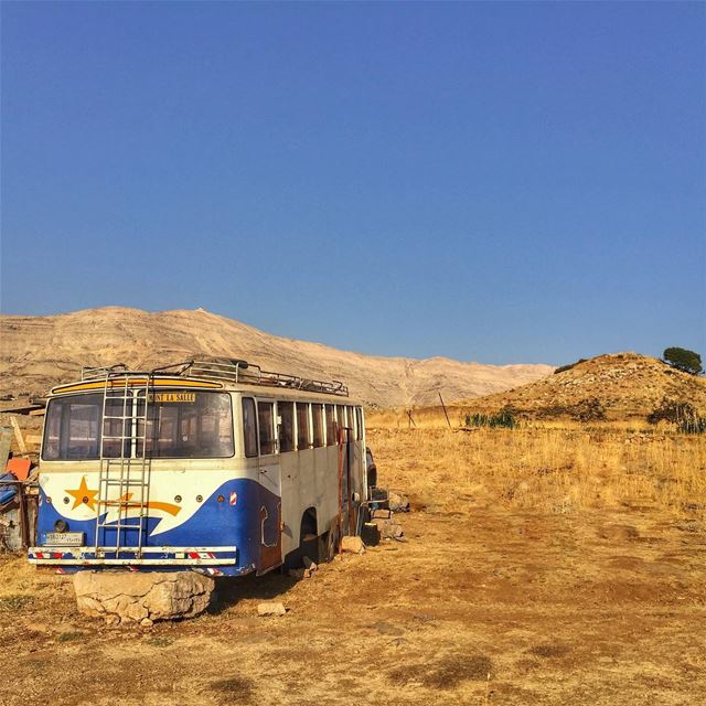 A trip to nowhere  LiveLoveSannine  LiveLoveBaskinta  LiveLoveLebanon ... (Qanat Bakish, Mont-Liban, Lebanon)