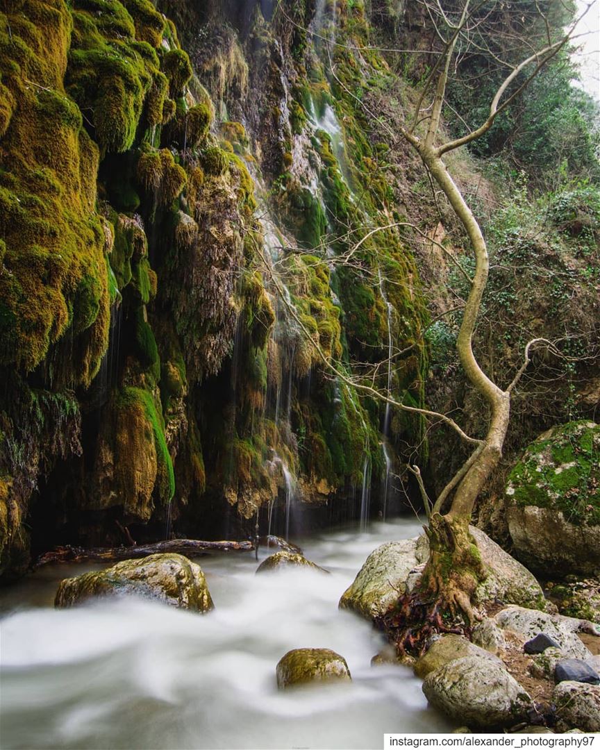 A tropical journey🏞️🌿..  lebanon  waterfall  river  longexposure ... (Lebanon)