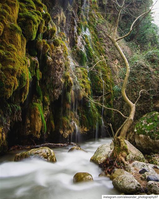 A tropical journey🏞️🌿..  lebanon  waterfall  river  longexposure ... (Lebanon)