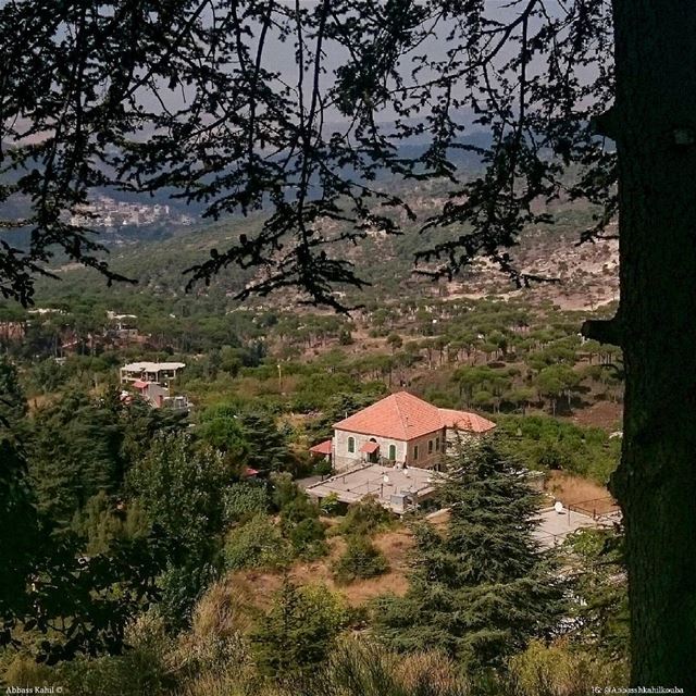 .• " A typical Lebanese House "• Location: Ain Zhalta town | Al shouf... (Aïn Zhalta, Mont-Liban, Lebanon)