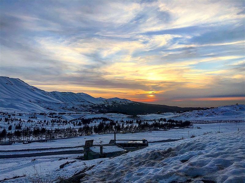 A view of the  cedars  arez  mountains  lebanon 🏔😍🇱🇧 (Bcharré, Liban-Nord, Lebanon)