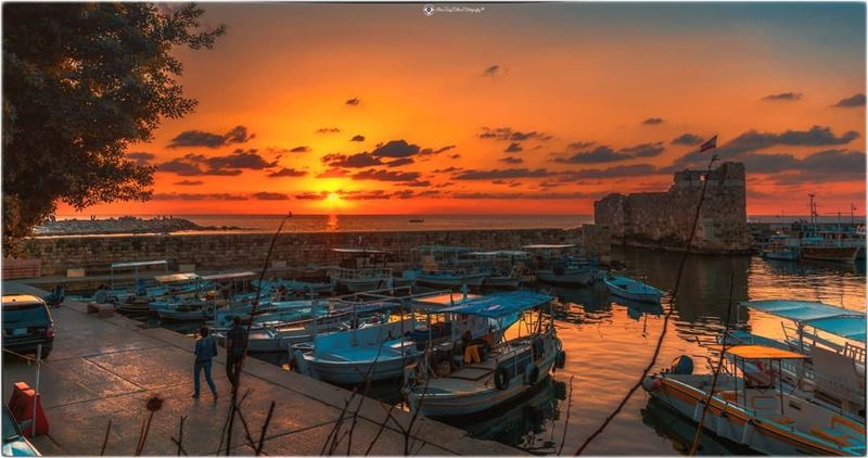 A view of the fishing bay.... (Byblos - Jbeil)