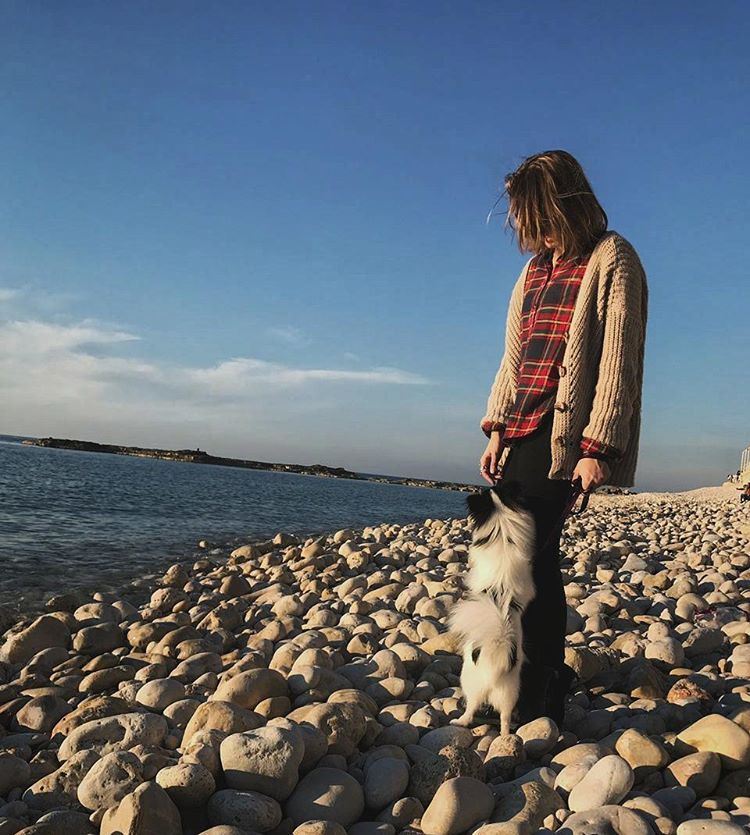 A walk along the shore with the catdog🐕 wintertime  warmday  sunset on...