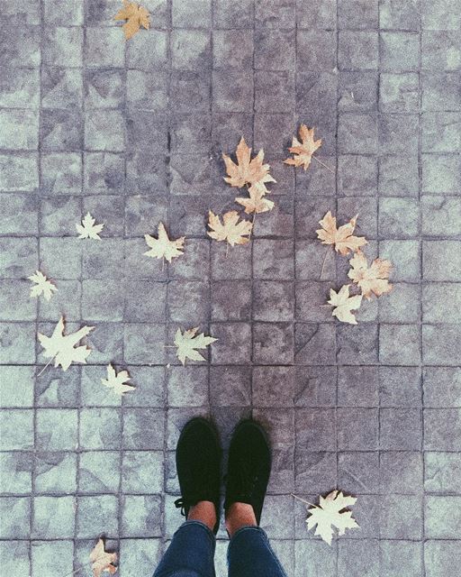 A walk among the golden leaves 🍁.... fall  autumn  livelovebeirut ... (Aley Center)