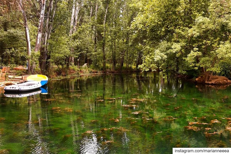 A walk around the lake in Anjar 🍃💚 (`Anjar, Béqaa, Lebanon)