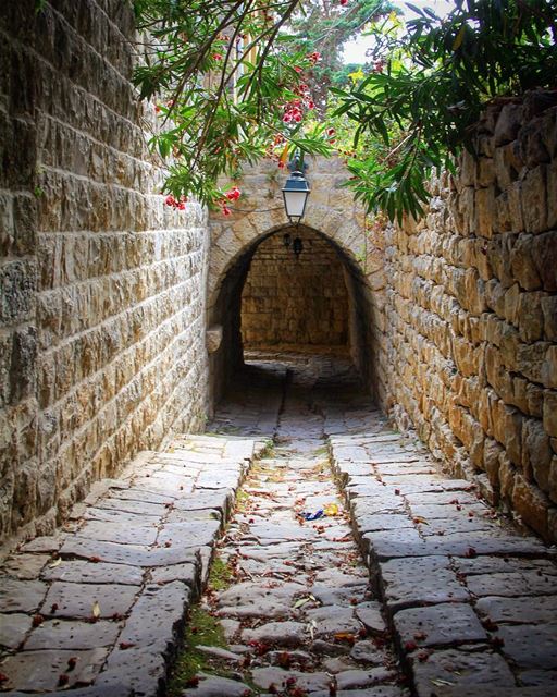 A walk I remember........... walk  authentic  beautiful  plants ... (Lebanon)