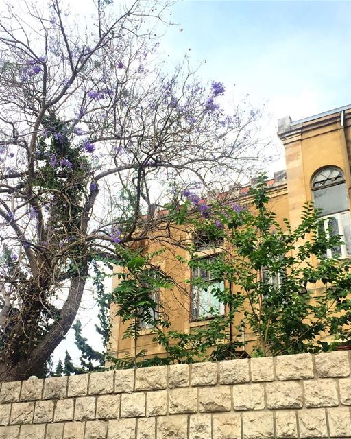A walk in Beirut 🌿💙  a7labaladbil3alam  photo  love  photograph ... (Achrafieh, Lebanon)