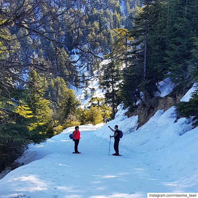 A walk in the park❄⛄  nature  naturephotography  mountains  ehden ... (Horsh Ehden)