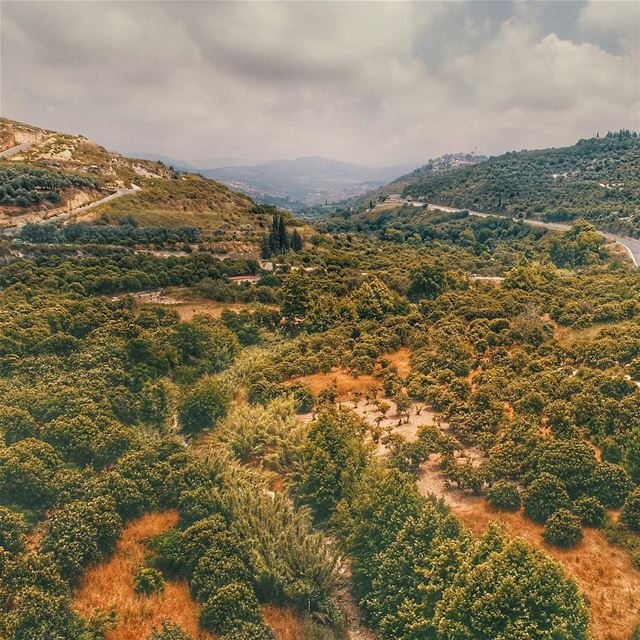 A walk through nature  djiglobal  mylebanon  livelovelebanon  lebanon ... (Mjeïdil, Liban-Sud, Lebanon)