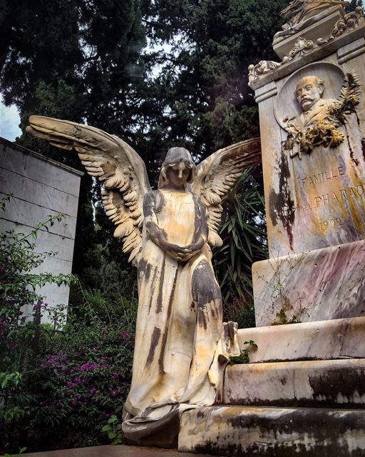 A walk through the cemetery......... cemetery  spiritual ... (Achrafieh, Lebanon)