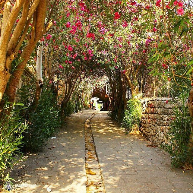 A walk to remember...