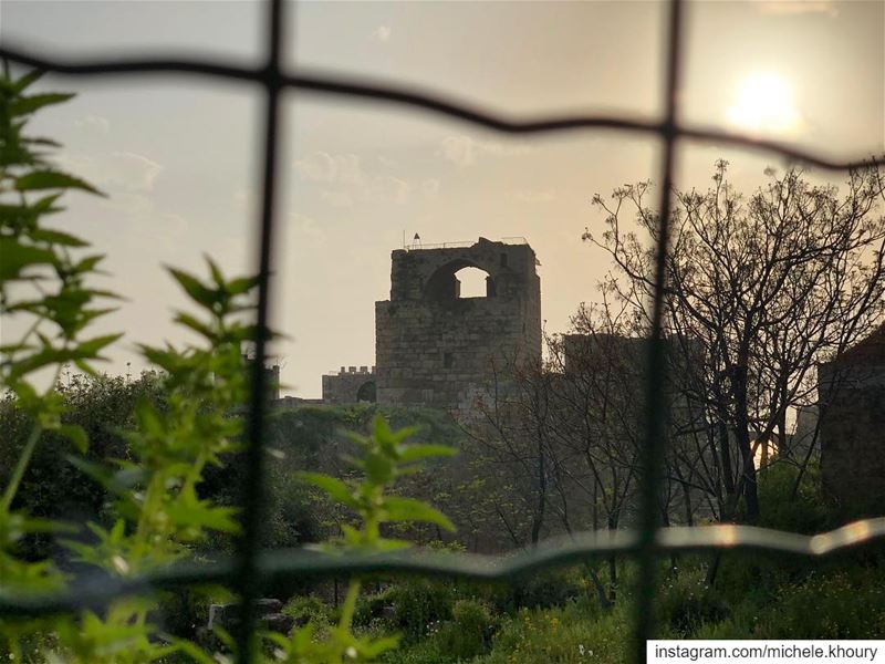 A whole new world outside your comfort zone magical newworld nature... (Byblos, Lebanon)