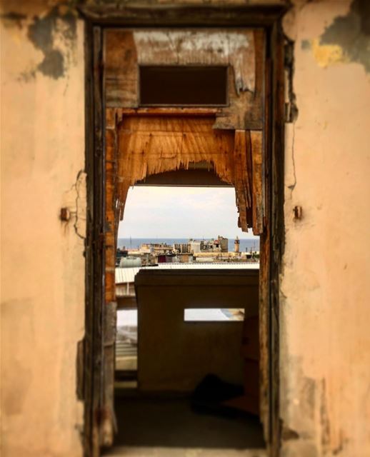 A wide image of small wood details, a hope to a better life 💚  shooting ... (Sidon, Lebanon)