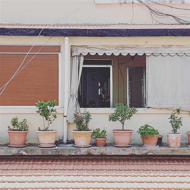 A window and a story. beirut  lebanon  middleeast  amazing  colours ... (Beirut, Lebanon)