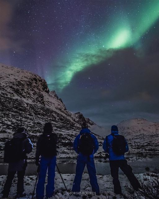 A wise man once said "look up.. !! AURORA Mofos"✨Happy New Year 🇱🇧 🇳🇴... (Lofoten Islands)