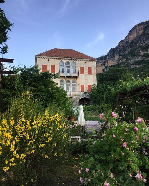  a7labaladbil3alam 🌼🌾  photo  love  photograph  photography  me ... (Douma, Liban-Nord, Lebanon)