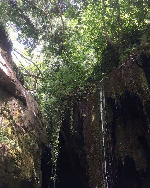 🍃💧  a7labaladbil3alam 🇱🇧  photo  love  photograph  photography ... (Shallalat Nabeh Merched)