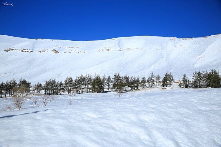  a7labaladbil3alam  photo  love  photography  camera  me  picoftheday ... (Cedars of God)