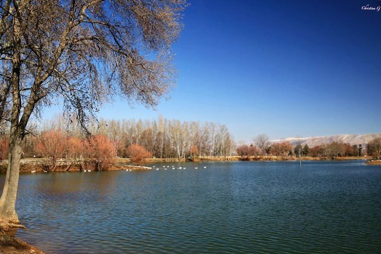  a7labaladbil3alam 🌿🍃  photo  love  photography  camera  me  picoftheday... (Taanayel Lake)