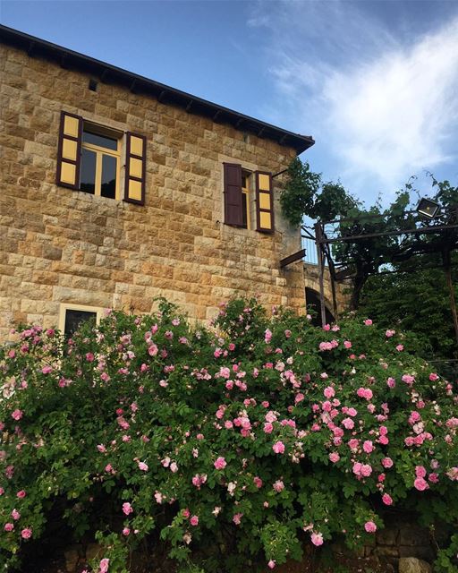  a7labaladbil3alam 🌺🌸  photo  love  photography   me  picoftheday ... (Beit Douma)