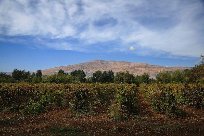  a7labaladbil3alam 🇱🇧..... photo  photograph  photography ... (Taanayel- Bekaa)