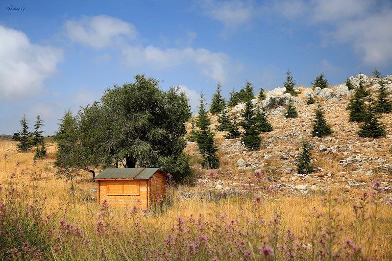  a7labaladbil3alam 🇱🇧🌲❤️ photo  love  photograph  photography  camera ... (Arz el Bâroûk)