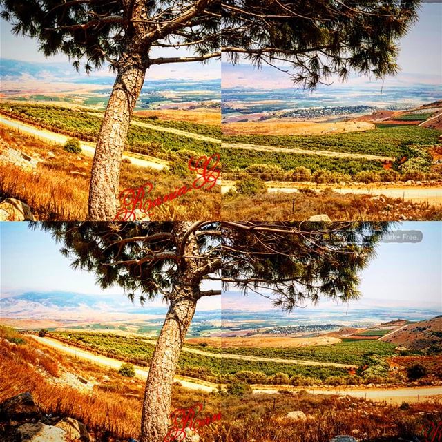  aadaissit-marjayoun from eddisseh hanneh... (Marjayoûn, Al Janub, Lebanon)