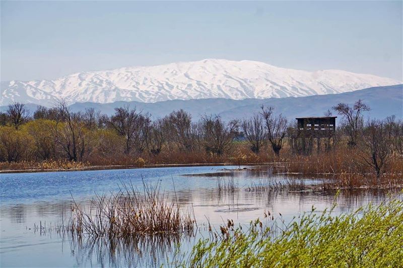 Aamik Reserve and Harmon mountain  aamik  aamiq  hermonmountain ...