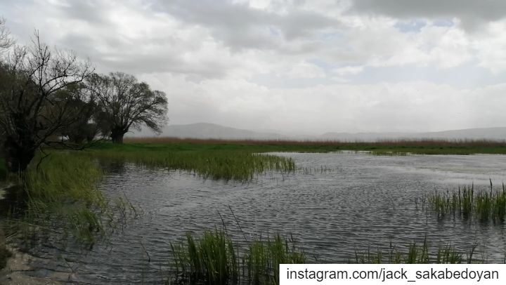 Aamik Wetland Reserve, Skaff property  aamik  aamiq  westbekaa  westbeqaa ...