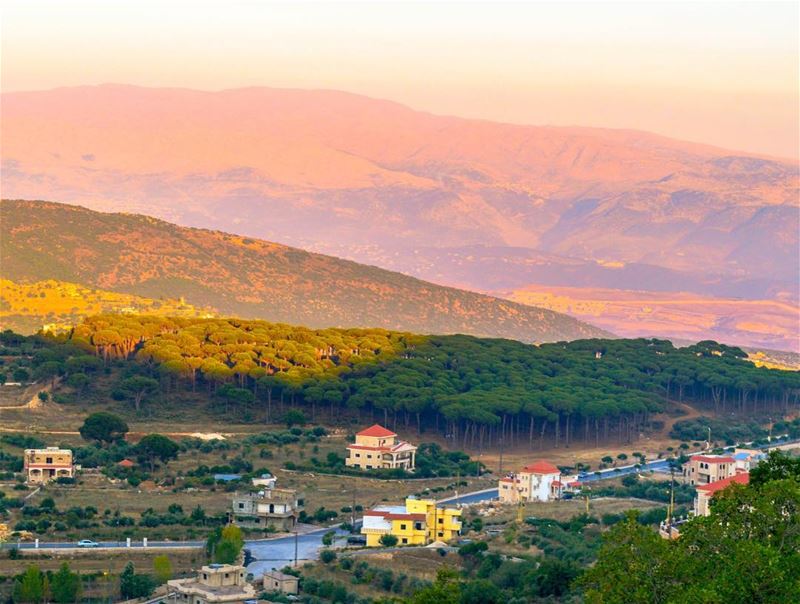  Aaramta southern lebanon landscape nature lebanon_hdr loves_lebanon... (Aaramta, Al Janub, Lebanon)