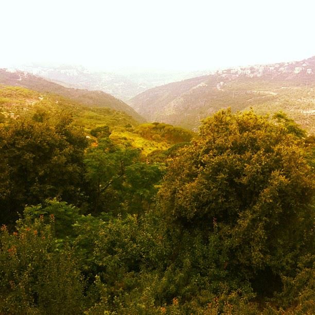  abadiyeh mount Lebanon great nature lovely weather...