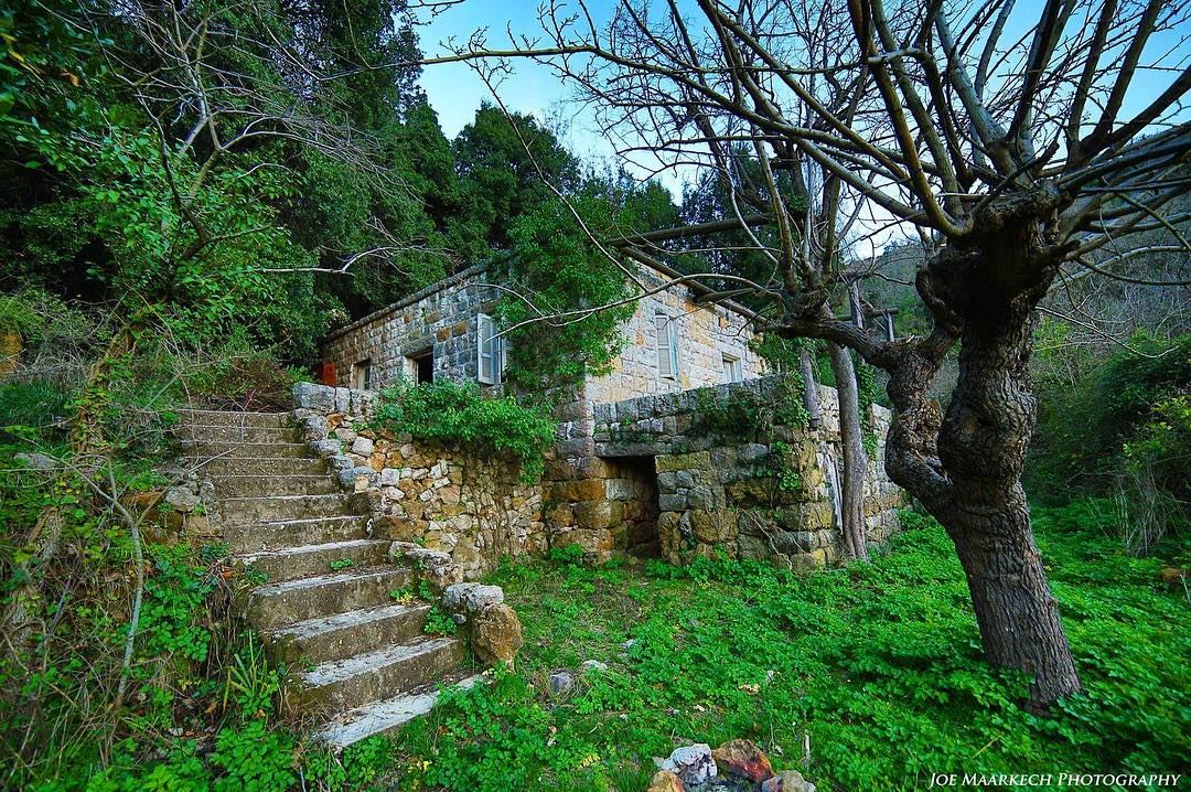 Abandoned and forgotten houses often hide the greatest stories!❤  oldhouse... (`Aramoun, Mont-Liban, Lebanon)