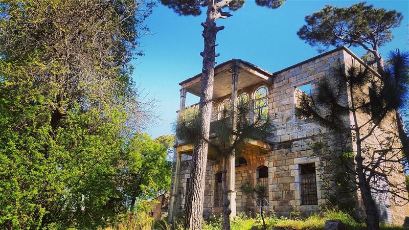  Abandoned  house  love  trees  green  spring  lebanon   nature  old ... (Bolonia - Mrouj)