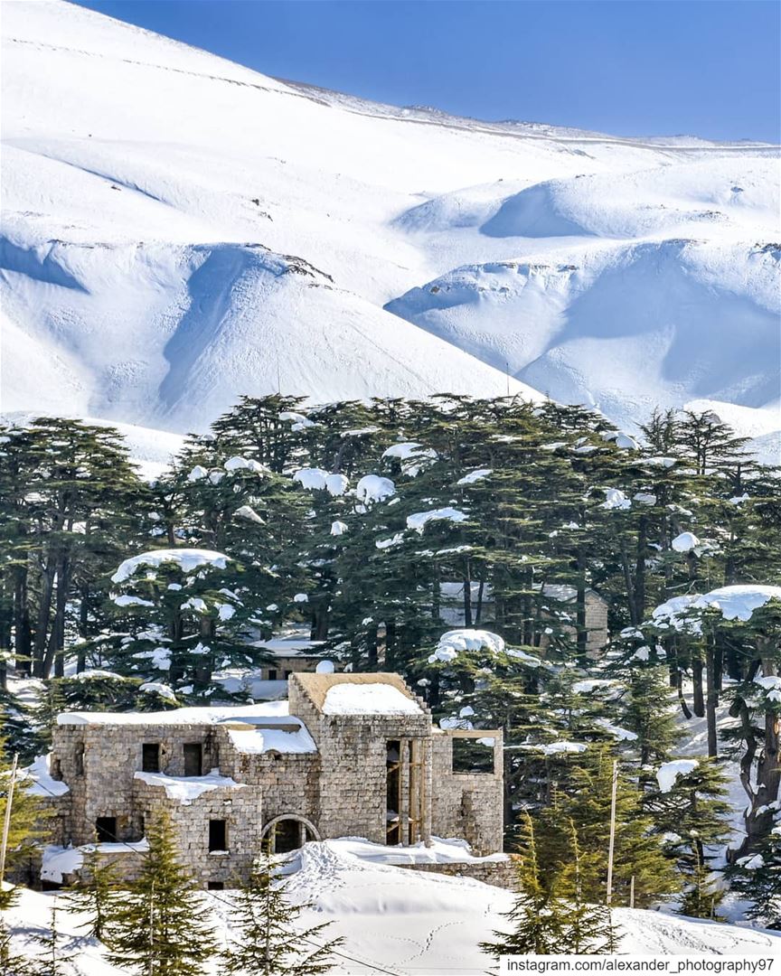Abandoned in the snow ❄️🏚️ - Cedars of God Bcharre - 27/1/2019 snow ... (Arz Bcharé)