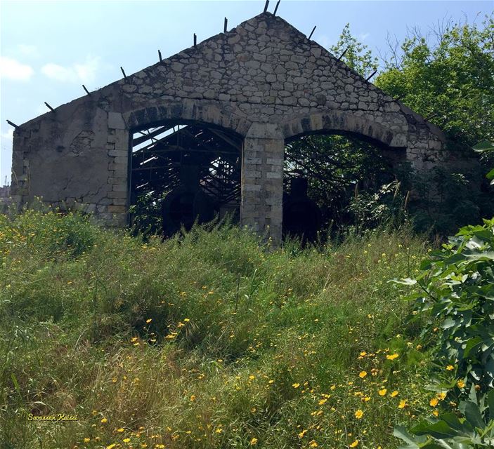  abandoned  nostalgia  old  heritage  trainstation  spring  yellow ...